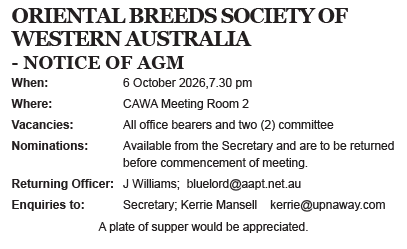 OBS AGM